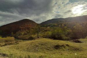 Ce-ar fi să te muţi la ţară? by Andy Hertz