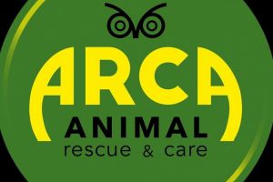 Nenorocirea din Portul Midia. ARCA: Nu am reusit sa primim acces in ferma au fost transferati berbecutii“