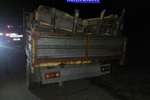 Bărbat în vârstă de 53 de ani depistat în localitatea Ilia în timp ce transporta material lemnos fără avizul de însoţire