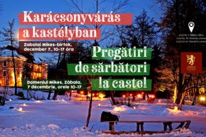 Pregătiri de Sărbători la Zăbala