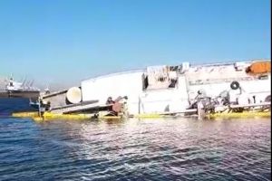 Cadavrele oilor din dreptul navei Queen Hind, recuperate. Cum se desfasoara traficul maritim in Portul Constanta 