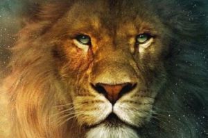 3 zodii care îţi vor fi prieteni pe viaţă