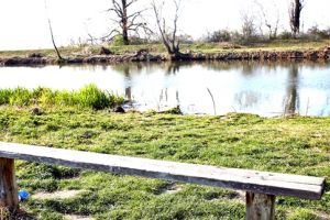 Fonduri europene pentru a face Bega navigabilă până în Serbia: se caută locaţii pentru porturi