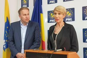 Averile miniştrilor lui Orban – Cât au în cont sibienii Turcan şi Costache