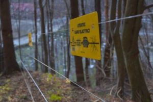 Se redeschide Cetatea Poenari