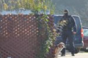 Grup infracţional, arme folosite ilegal, şpagă şi informaţii nepublice vândute oamenilor cu influenţă!