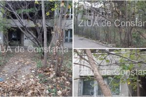 Directia Generala de Asistenta Sociala se ocupa de reabilitare:  Care este situatia fostei Crese 6 din municipiul Constanta (galerie foto)