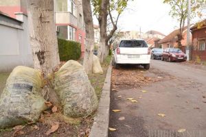 Taxatorul Bolojan: De anul viitor orădenii vor avea impozite şi taxe majorate cu 4,6% şi vor plăti taxe speciale