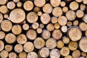 ANALIZĂ. La ce preţ a ajuns metrul cub de lemn în Mureş?