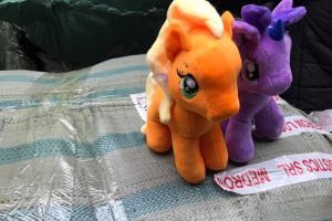 Mii de jucarii contrafacute, descoperite intr-un container sosit in Portul Constanta Sud Agigea. Marfa a fost confiscata