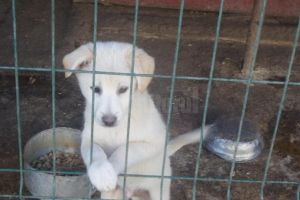 Proiect de reducere a risipei alimentare în Rădăuţi, demarat de Asociaţia ”Rădăuţiul ...