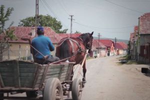 Crima de la Bogatu – Ce s-a întâmplat de fapt între cei doi soţi