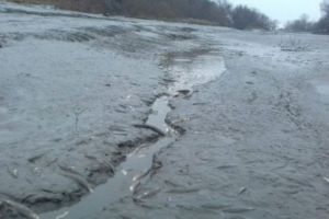 FOTO: Dezastru ecologic în amonte de Barajul Vechi din Târgu-Mureş!