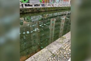 Mii de bancnote de 100 de euro au început să plutească pe un canal din Milano