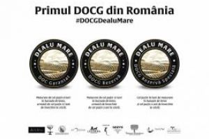  2019, cel mai dificil an viticol din istoria regiunii Dealu Mare