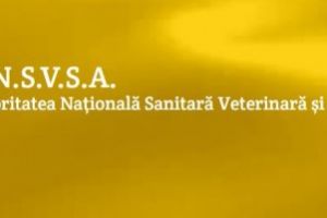 Controale ANSVSA in sectorul produselor alimentare de origine nonanimala noiembrie 2019: Ce amenzi au fost aplicate 