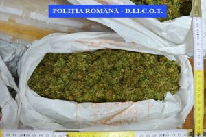 Un braşovean a primit 4 kilograme de cannabis, din străinătate! A fost arestat de poliţişti!