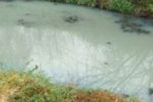 ABA Banat nu neagă o posibilă poluare pe râul Nera