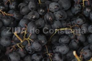 Beneficiile consumului de struguri 