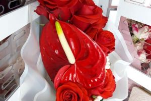 FOTO Florăria automată din incinta galeriilor Botoşani Shopping Center are program prelungit în preajma sărbătorilor de iarnă