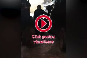Un microbuz a spulberat o poartă şi a ajuns în curtea unei case. ...