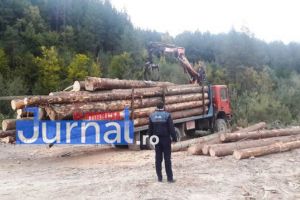 Amendă şi confiscări de lemn la un depozit de lemne deţinut de o societate comercială