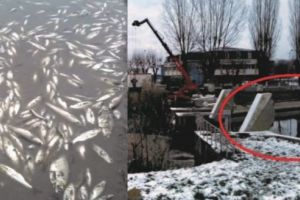 INCREDIBIL!!! Au golit Mureşul pentru a goli bazinul de canotaj, dar bazinul de canotaj e aproape plin!