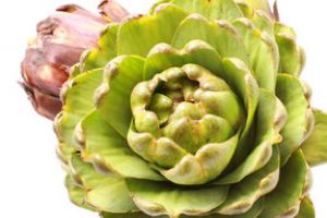 Anghinarea, planta indicata in afectiunile hepatice si renale