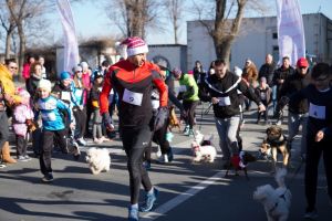 Weekend sportiv:  In statiunea Mamaia, iubitori ai miscarii de toate varstele participa la Cros Gerila