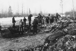 „Şoselele noastre”