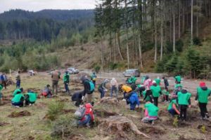 Proiectul „Tezaur ECOlogic”, iniţiat de Inspectoratul Școlar Suceava, a fost laureat al ...