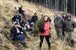 15.000 de copaci, plantaţi în Munţii Făgăraş de o artistă româncă emigrată în Marea Britanie