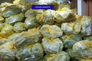 Captură uriaşă în Bihor: Peste 4,5 milioane de ţigări de contrabandă, la o firmă din Borş (FOTO / VIDEO)