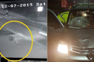 VIDEO. Minora spulberată pe trecerea de pietoni. Momentul a fost surprins LIVE