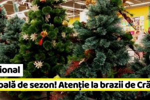 Naţional: O boală de sezon – Sindromul bradului de Crăciun