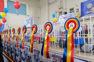 A XXVI-a ediţie a Expoziţiei Naţionale Columbofile UCPR, organizată la Târgovişte