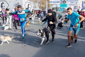 Mamaia:  Inedit! Perechi catel - stapan au alergat in proba 6 picioare“ de la Cros Gerila (galerie foto) 