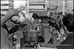 #DobrogeaAcademica:  Expozitie de fotografie la Biblioteca Academiei Romane - Revolutia Romana“ (galerie foto)