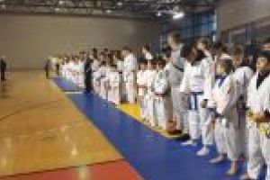 18 cupe obţinute de practicanţii de ju-jitsu ai CSM Sf. Gheorghe