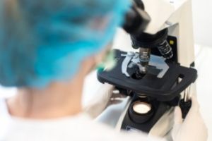 Premieră ştiinţifică: exemplare hibride maimuţă-porc au fost realizate în China