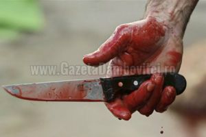 TITU: Un conflict spontan, pe fondul alcoolului, s-a încheiat scăldat în sânge