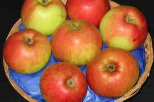 Să ne însemnăm că... (I)