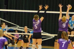 S-au răzbunat pe Bega