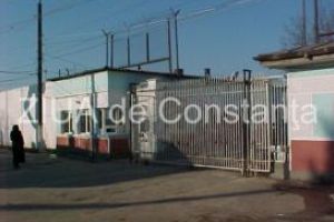 Judetul Constanta: Doi barbati au fost escortati si incarcerati in Penitenciarul Poarta Alba. Ce infractiuni au comis 