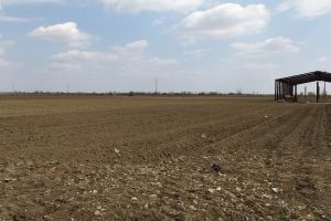 APIA Dâmboviţa a autorizat la plata regulară aproximativ 10.000 de fermieri