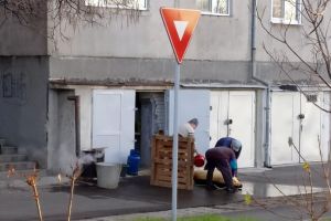 Un bărbat din Oradea a tăiat porcul... în spatele blocului