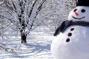 Cum va fi VREMEA de CRĂCIUN ȘI REVELION 2019. Se anunţă temperaturi pozitive şi fără precipitaţii