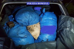 Ialomiţa: Poliţiştii au confiscat peste 500 kg de peşte
