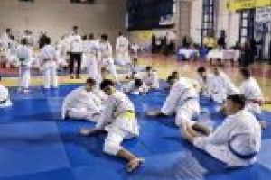 Medalii la sfârşit de an pentru sportivii de la Show Time Sport Club