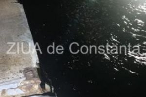 S-au reluat cautarile barbatului cazut cu stivuitorul in Portul Constanta, la Dana 79